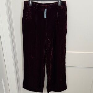 LOFT Velvet Wine Trousers